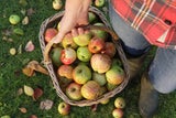 DIESER Gartenfehler im Herbst kann teuer werden!