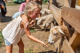 Ferien-Fun in der Family City
