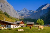 Lonely Planet verrät die besten Reiseziele für Familien für jeden Monat