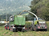 Wieder Sabotageakt auf Maisfeld: 15.000 Euro Kopfgeld für Hinweise