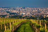 Wien