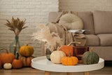 Gemütlich durch den Herbst: So verschönern Sie Ihr Zuhause mit wenig Geld
