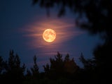 Supermond am 7. Oktober: Auf diese Sternzeichen wirkt der Vollmond besonders intensiv