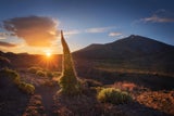 DIESER beliebte Urlaubsort in Spanien plant Autoverbot