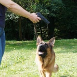 Rex