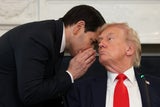 Trump Rubio