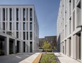 Campuserweiterung Krems in Krems&nbsp;