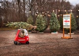 Christbaum transportieren: Diese häufigen Fehler sollten Sie unbedingt vermeiden