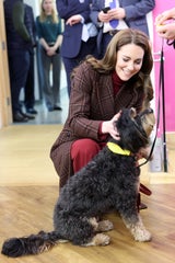 Seine Schwester, Prinzessin Kate, ist auch ein Hundefan.&nbsp;