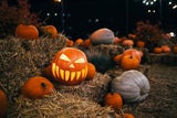Einfache Tricks: So bleibt Ihr Halloween-Kürbis länger frisch