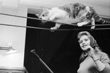 Brigitte Bardot setzte sich immer für den Tierschutz ein