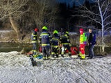Einsatzkräfte bargen Lenker und Fahrzeug.