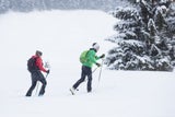 Schneeschuhwandern eröffnet stille Wege abseits der Pisten