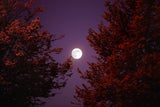 Vollmond 5. November