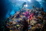 Raja Ampat