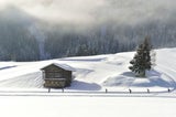 Die schönsten Loipen in Österreich zum Langlaufen