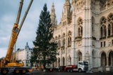 Die 28-Meter-hohe Fichte aus Hopfgarten im Brixental thront seit Dienstag am Wiener Rathausplatz.