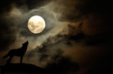 Vollmond am 3.1.2026: Diese drei Sternzeichen stehen vor emotionalen Herausforderungen