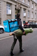Tannenbaum to go: Wolt liefert Christbaum per App