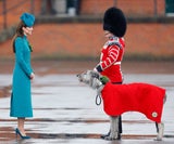 Die Prinzessin und die Hundeliebe...