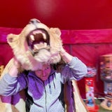 Cirkus Emilios Hilferuf: "Wir sitzen in Zwettl fest!"