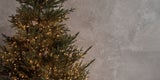Früher oder später - Wann sollte man am besten den Christbaum kaufen?
