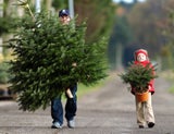Weihnachtsbaum