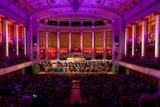 Hörbiger und Sängerknaben als Hits von "Christmas in Vienna"