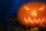 Laut Bauernregel: Das bedeutet Regen an Halloween für das nächste Jahr