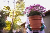 Vergessen die meisten: Diese Gartenarbeiten dürfen Sie im November nicht verpassen