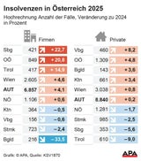 Grafik Insolvenzen