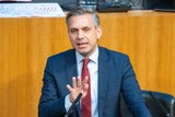 Wolfgang Hattmannsdorfer