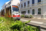 Begrünungsmaßnahmen in Währing&nbsp;gegen Falschparker.