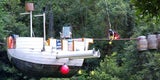 Dschungelcamp