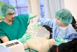 Teddybär-Krankenhaus: Hunderte Kuscheltiere landen am OP-Tisch