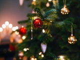 Christbaum-Guide: So finden Sie den perfekten Baum für Ihr Zuhause