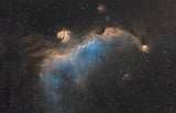 Februar 2026: Ihr Monatshoroskop von Star-Astrologin Gerda Rogers