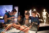 „Körperwelten“ zeigen was uns krank macht