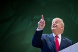 "Sie nannten mich Daddy": Trumps Aufreger-Rede in Davos