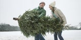 weihnachtsbaum