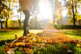 Last-Minute-Tipps: So übersteht Ihr Garten den Winter ohne Schäden