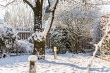 Geheimtipp: So retten Sie eingelaufene Pullover mit Schnee