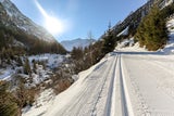 Die schönsten Loipen in Österreich zum Langlaufen