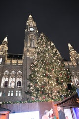 Christbaum am Rathausplatz