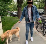 influencerin