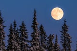 Letzter Supermond des Jahres am 5.12.: Auf 3 Sternzeichen wirkt der Vollmond intensiv