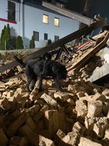 Döbling