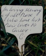 Kate William Garden of Memory