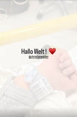 Venier Baby