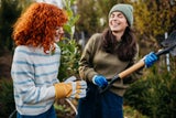 Überwintern: So bringen Sie Pflanzen und Zubehör durch die kalte Jahreszeit